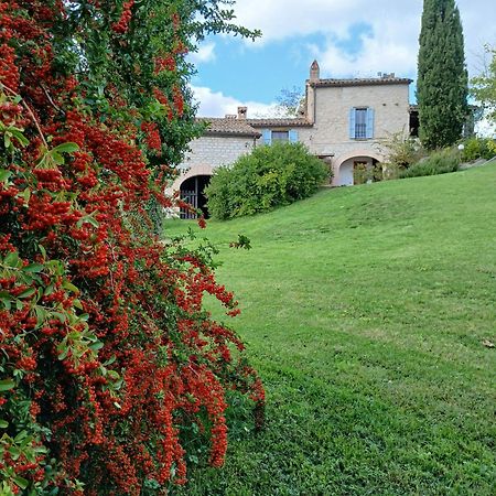 Agriturismo Del Frontino - Lo Studio Acqualagna Dış mekan fotoğraf