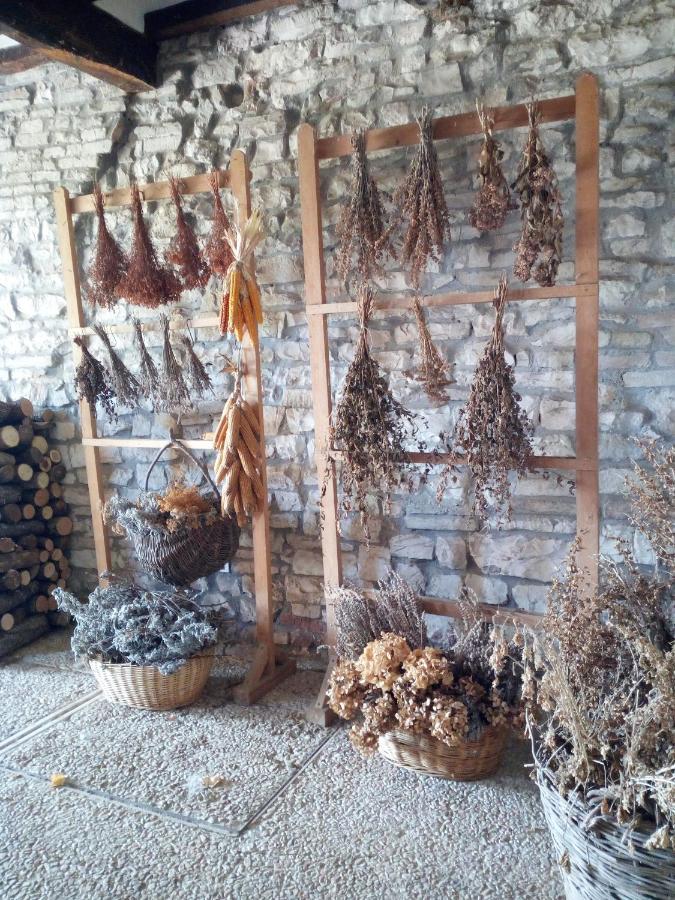 Agriturismo Del Frontino - Lo Studio Acqualagna Dış mekan fotoğraf