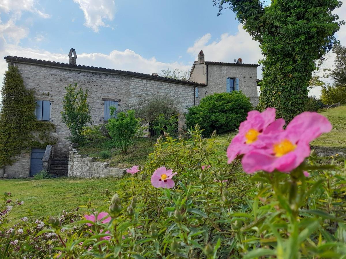 Agriturismo Del Frontino - Lo Studio Acqualagna Dış mekan fotoğraf