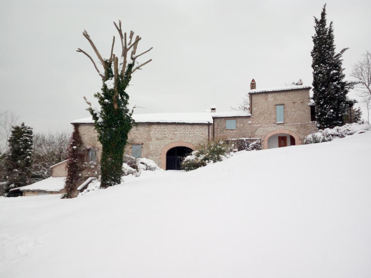 Agriturismo Del Frontino - Lo Studio Acqualagna Dış mekan fotoğraf