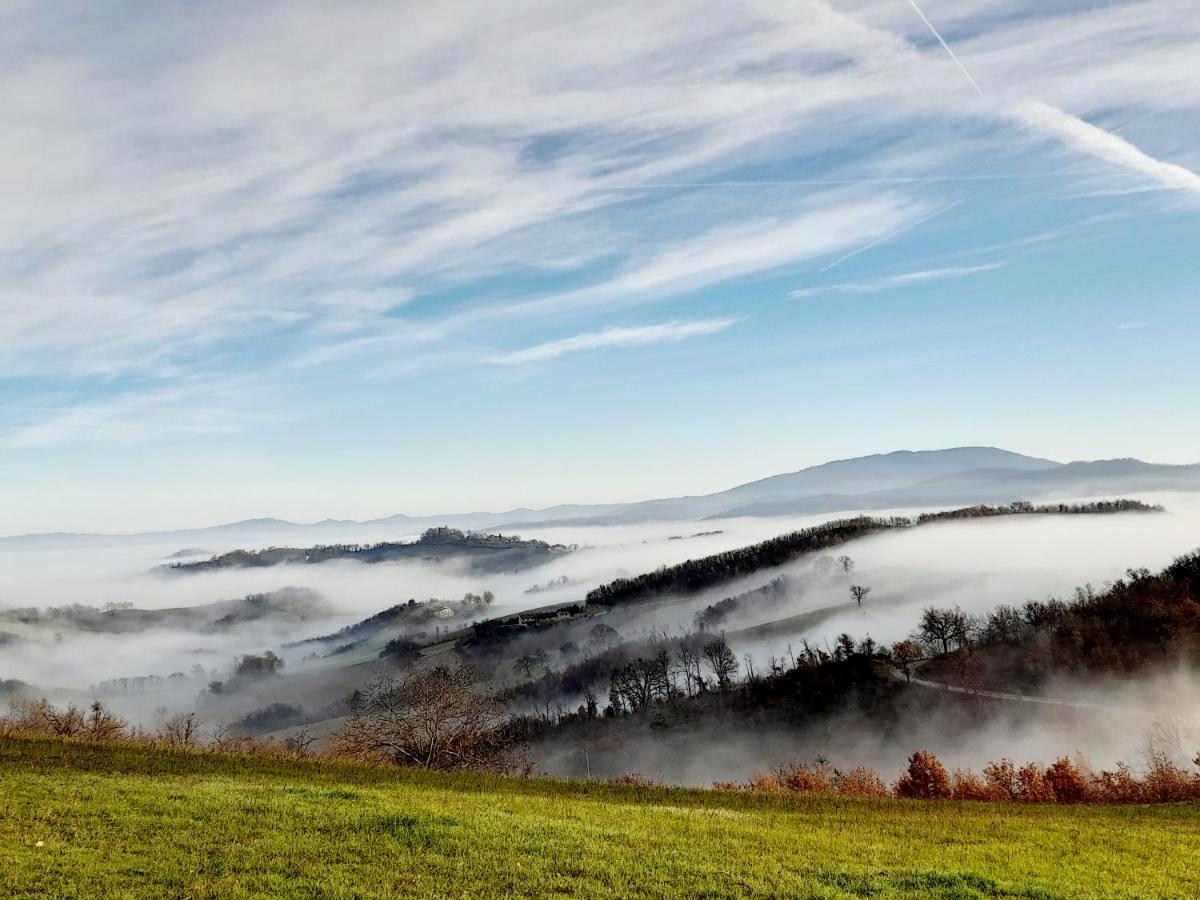 Agriturismo Del Frontino - Lo Studio Acqualagna Dış mekan fotoğraf