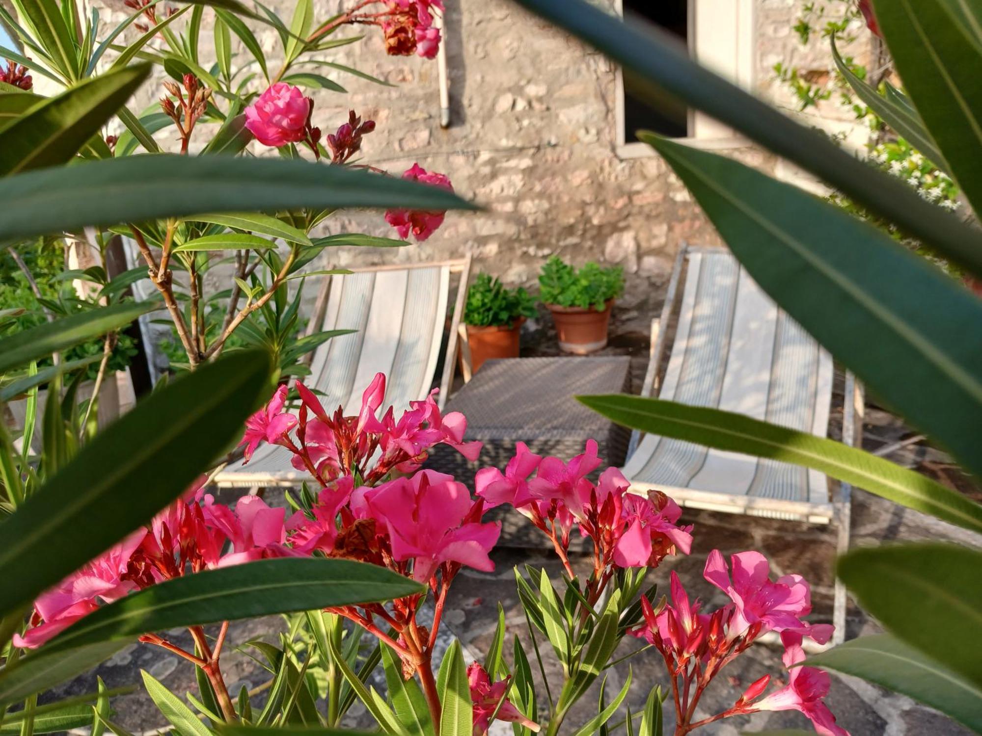 Agriturismo Del Frontino - Lo Studio Acqualagna Dış mekan fotoğraf