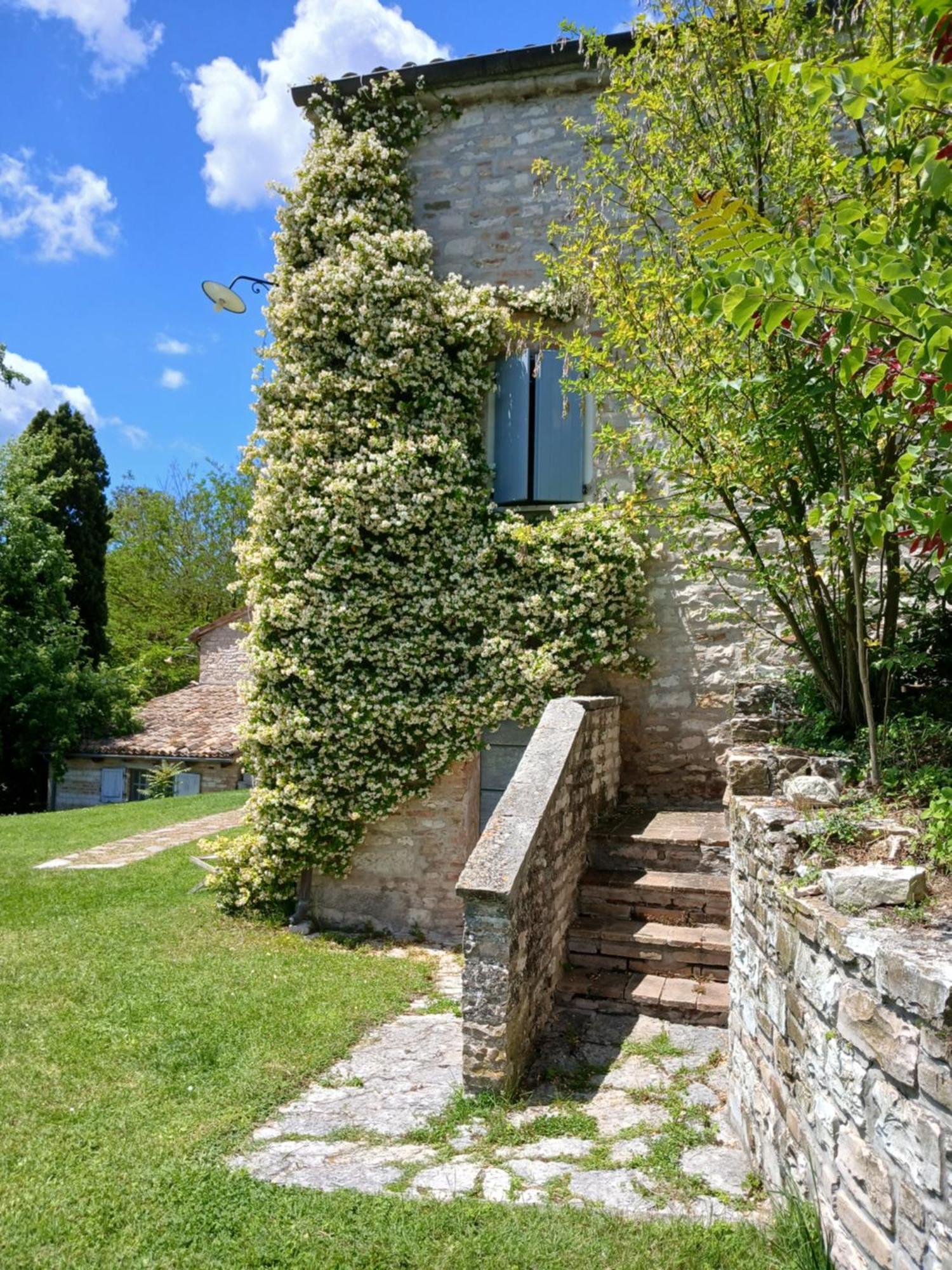 Agriturismo Del Frontino - Lo Studio Acqualagna Dış mekan fotoğraf